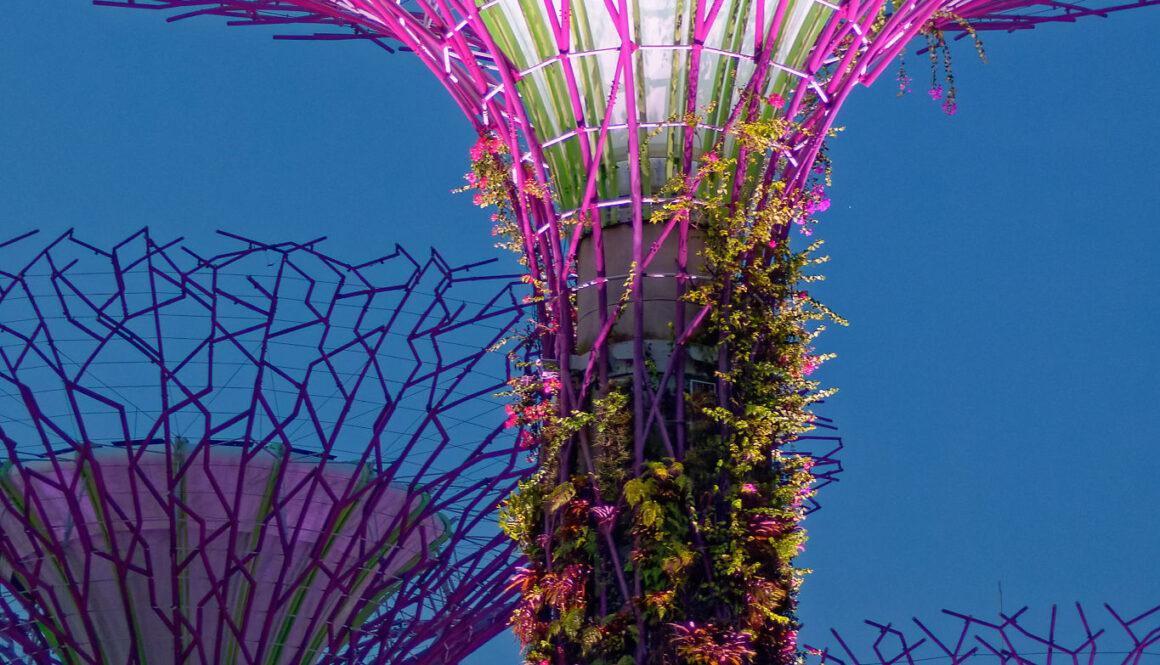 Lichtshow der ikonischen Bäume in Gardens by the bay. Singapur, 2018.